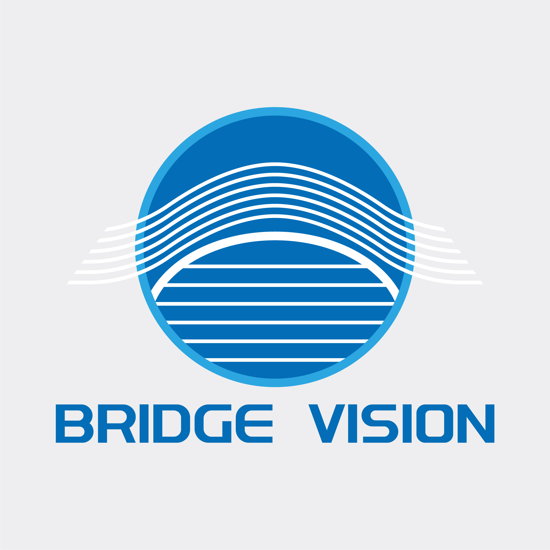 Công ty TNHH Bridge Vision